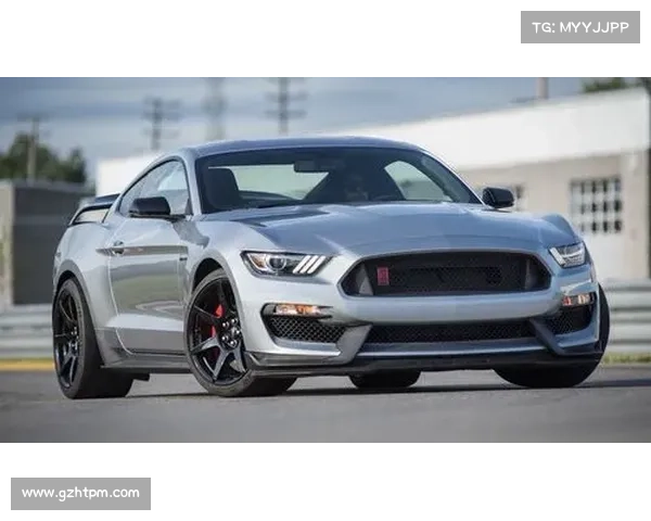 V8机械增压动力 新款谢尔比GT350_GT350R官图发布 V8机械增压动力 新款谢尔比GT350_GT350R官图发布